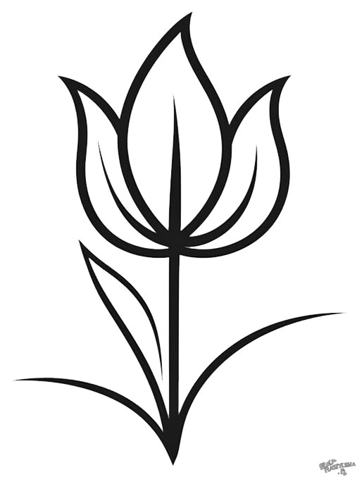 laurka tulipan szablon