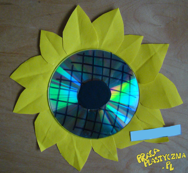 CD słonecznik