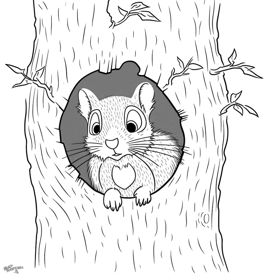 Wiewiórka w dziupli rysunek