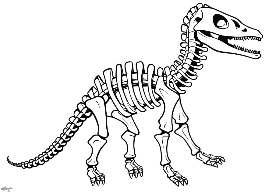 Szkielet dinozaura kolorowanka