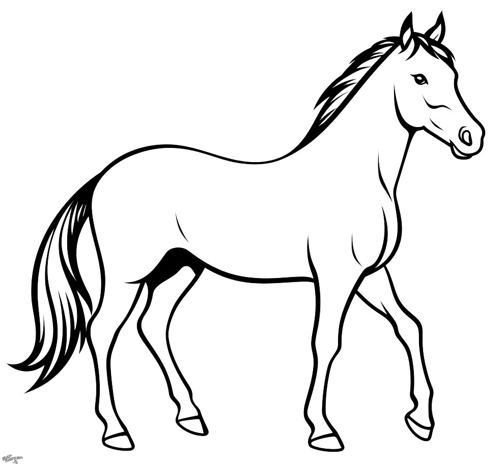 Koń kolorowanka