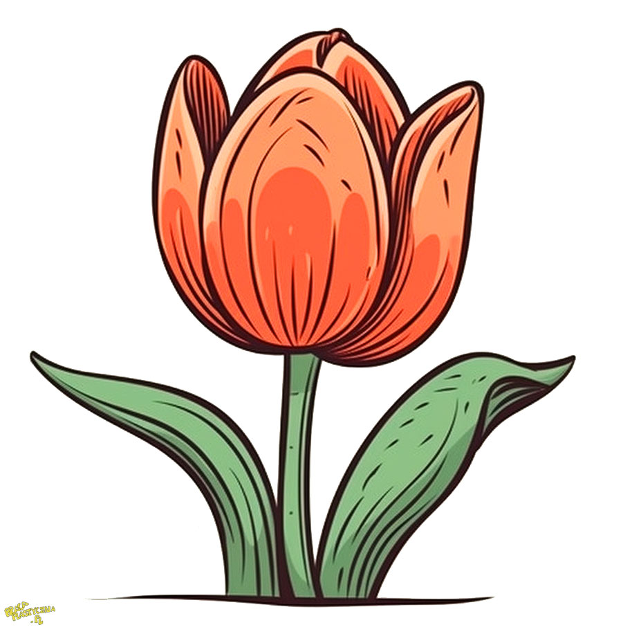 obrazek tulipany