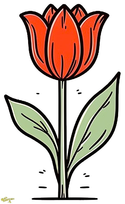 obrazki tulipany