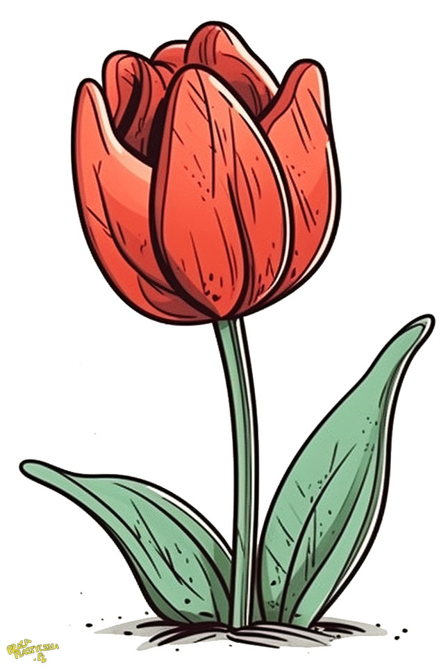 obrazki z tulipanami