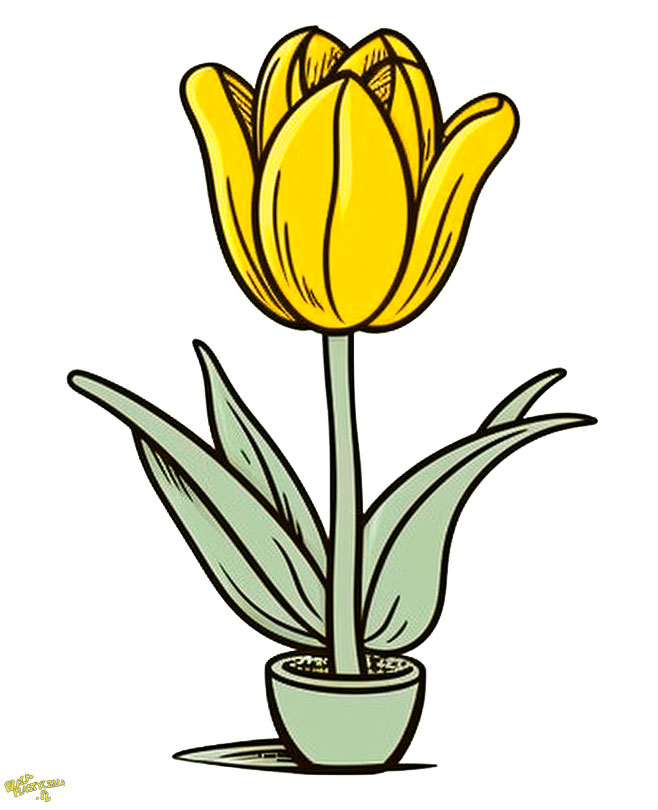 żółty tulipan w doniczce