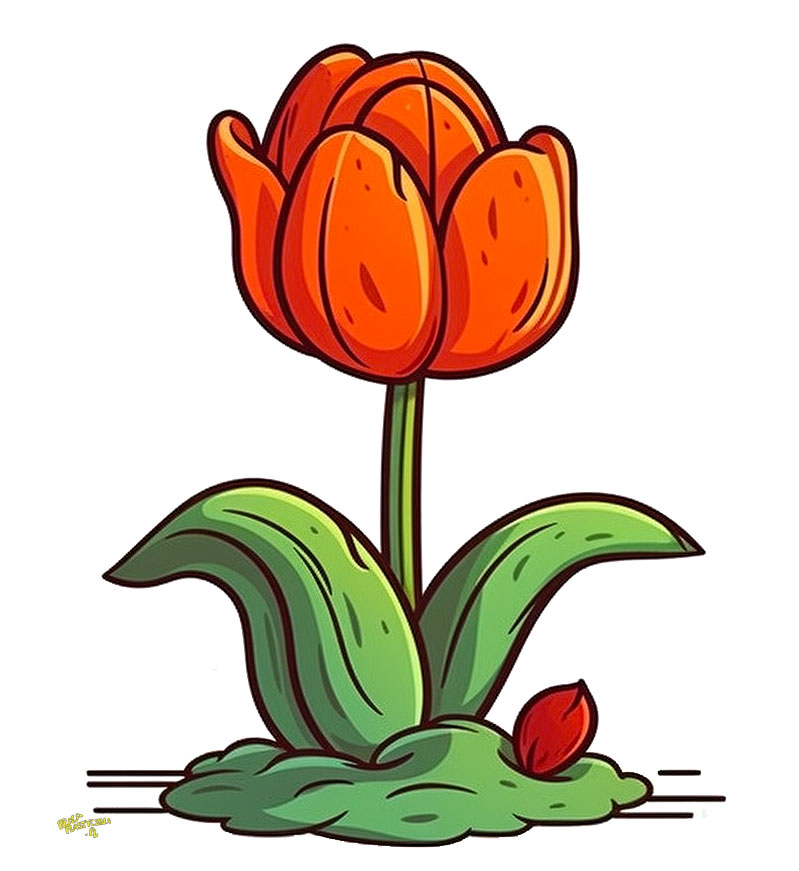 tulipany obrazki do pobrania