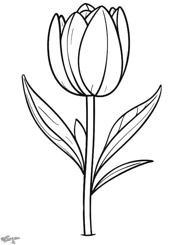 Szablon tulipana