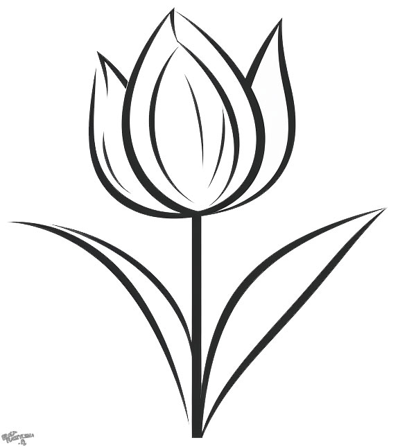 Tulipan szablon do druku za darmo
