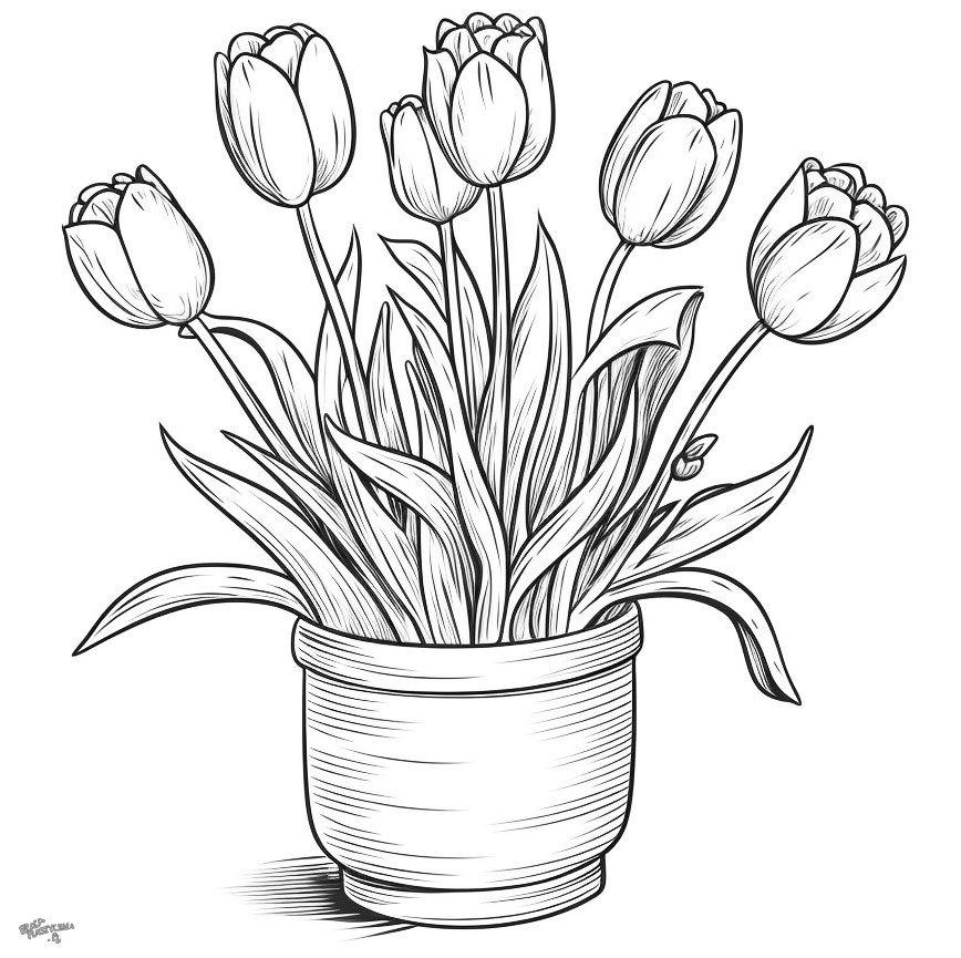 Tulipany do kolorowania